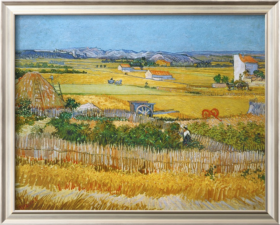 Wheatfield, 1888 By Vincent Van Gogh